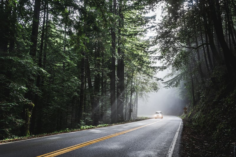 Foodie Road Trips